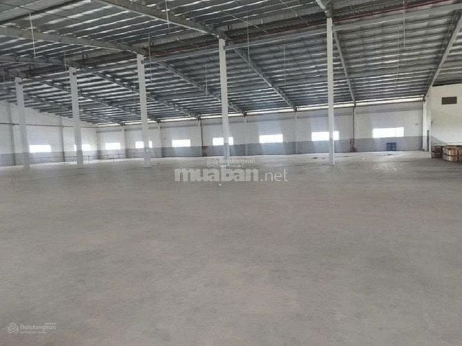 Xưởng 2.300m², thuê dài hạn 10 năm, KCN Nhơn Trạch 3, Đồng Nai