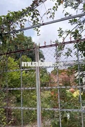 BÁN ĐẤT HÓC MÔN - XE TẢI ĐẬU CỬA - DT KHỦNG - GIÁ RẺ.