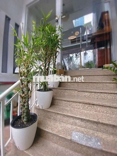 Mbkd Nguyễn Trãi gần ốc đào cống quỳnh cinestar nguyễn cư trinh q1