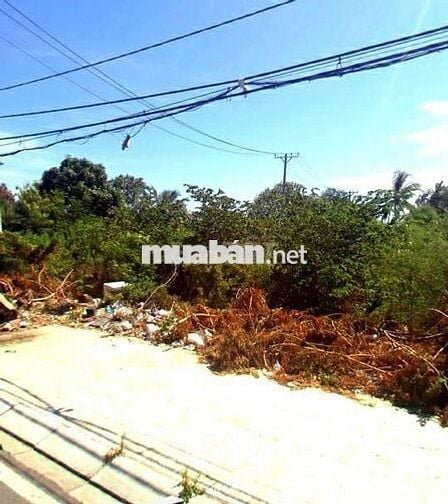 Cần vốn làm ăn em bán lô Đ Tắc Xuất, TT Cần Thạnh,Cần Giờ giá 965tr