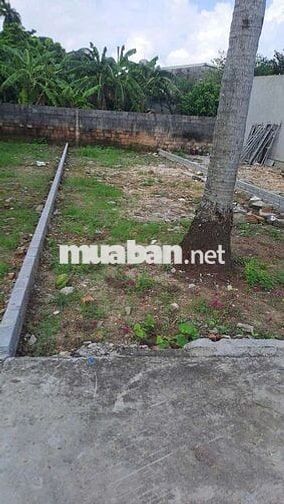 Cần bán gấp lô đất mặt đường trục thôn Phương Chử Đông, Trường Thành
