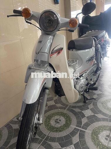 bán xe cup 50 đời mới.