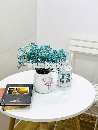 Nhà hẻm 17m2, 1 phòng ngủ, đường Nơ Trang Long, Q. Bình Thạnh