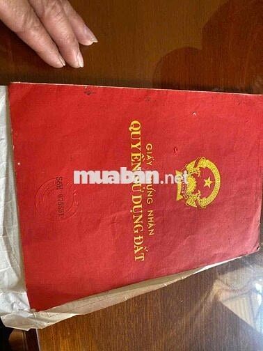Cần Bán Đất Phường Lộc Nga Bảo Lộc