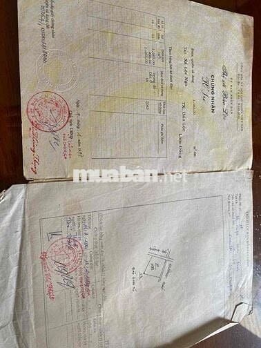 Cần Bán Đất Phường Lộc Nga Bảo Lộc