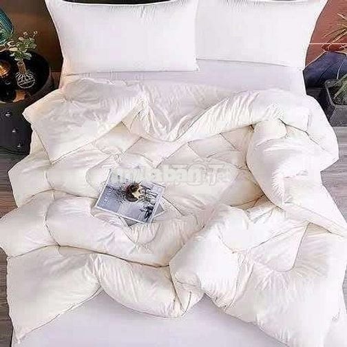 Phòng cho thuê Ba Đình ngõ ô tô 3,5 triệu