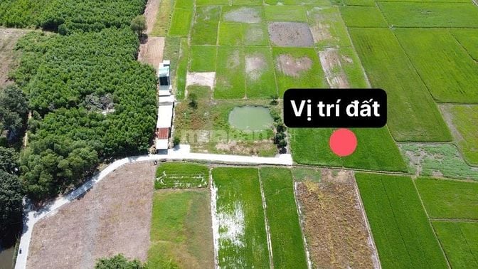 Bán gấp đất thổ nhà vườn Nhơn Trạch, giá rẻ 4ty/1400m,oto,SR chính chủ