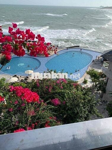 Cho thuê HẺM 10 M ĐƯỜNG THOẠI NGỌC HẦU : 4 x 30 M ĐÚC 1  LẦU