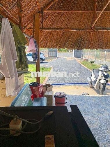 🌿 BÁN NHÀ VƯỜN VIEW KÊNH PHƯỚC HÒA – XÃ THÁI MỸ, CỦ CHI, TP.HCM 🌿