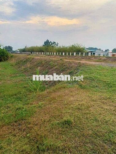 🌿 BÁN NHÀ VƯỜN VIEW KÊNH PHƯỚC HÒA – XÃ THÁI MỸ, CỦ CHI, TP.HCM 🌿