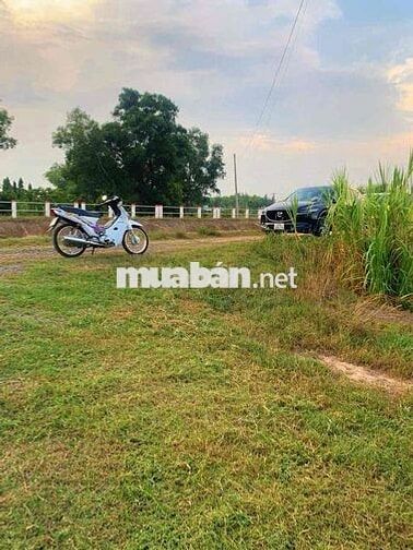 🌿 BÁN NHÀ VƯỜN VIEW KÊNH PHƯỚC HÒA – XÃ THÁI MỸ, CỦ CHI, TP.HCM 🌿