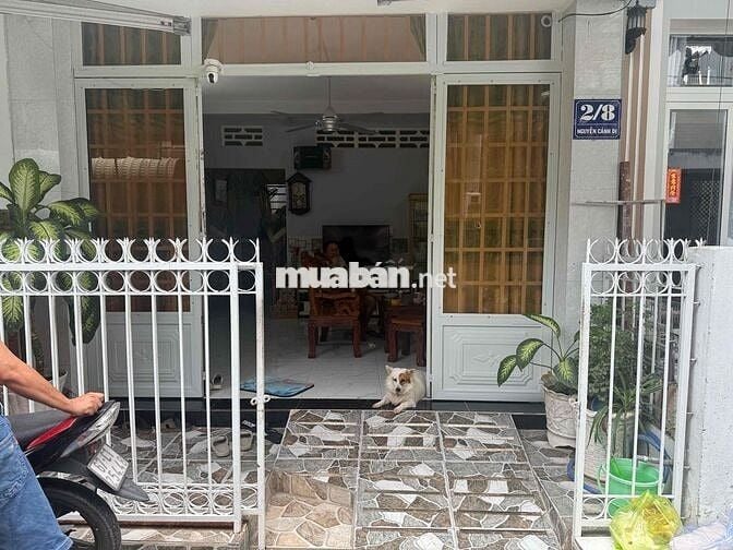 Mẹ mình đi định cư mỹ không ai trông koi nhà nên cần bán gấp