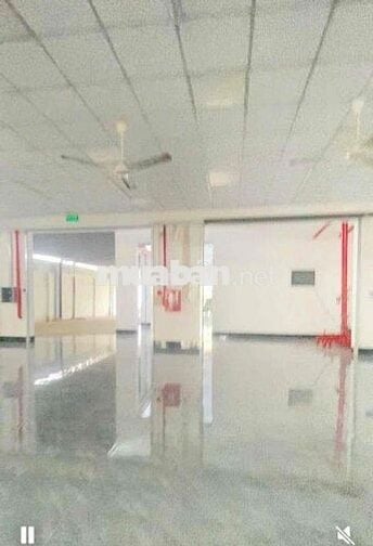cho thuê kho xưởng 1300m2 pccc thẩm duyệt