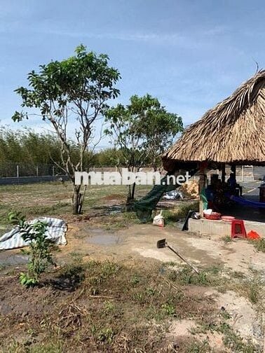 Bán nhà vườn Thái Mỹ - Củ Chi: 954m2(24x37) - 300m2 thổ cư. Giá 2tỷ200
