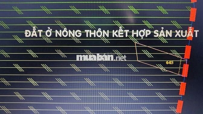 Bán đất Trung Lập Hạ - Củ Chi: 330m2 (10x33) - 278m2 thổ cư.Giá 1tỷ500