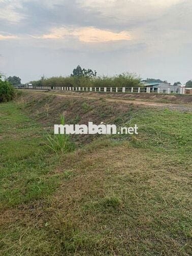 Bán nhà vườn Thái Mỹ - Củ Chi: 954m2(24x37) - 300m2 thổ cư. Giá 2tỷ200