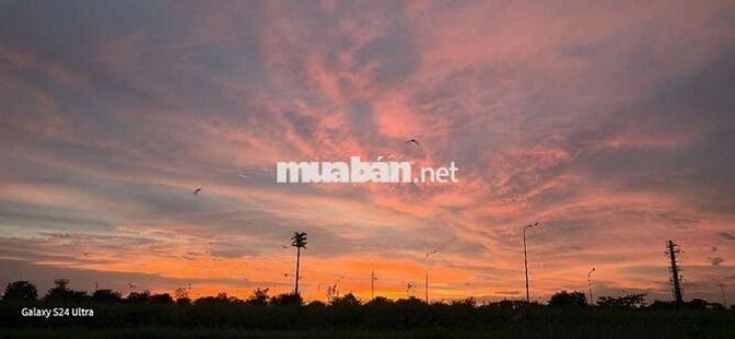 1233M2 ĐẤT THỔ CƯ - ĐƯỜNG BÊ TÔNG !