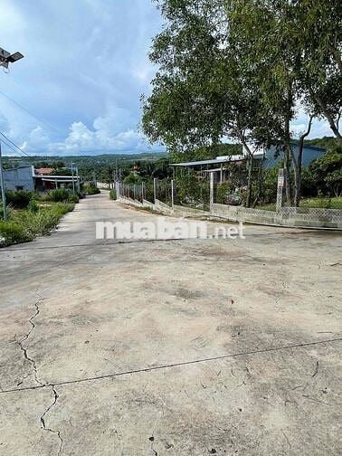 Đất nhà chính chủ cần bán 1000mv đất 2 mặt tiền đường bê tông 5m đất c