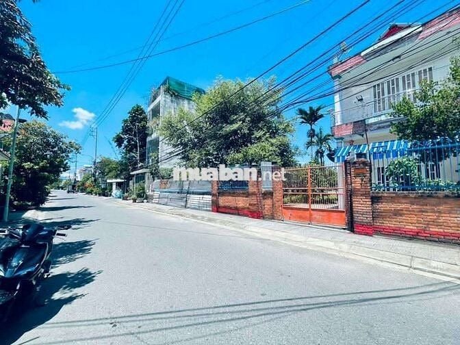 Mt đường Trinh Đường, Đường 5m5 Lề 3M🩵🩵
- Giá : 3Tỷ550