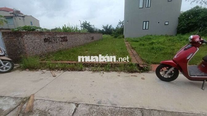 Chính chủ bán đất tổ 9 Quang Minh Mê Linh Chính chủ bán đất tổ 9 Quang Minh Mê Linh