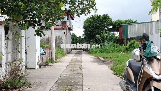 Chính chủ bán đất tổ 9 Quang Minh Mê Linh
