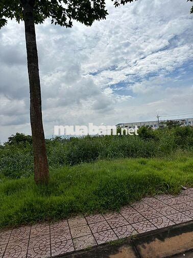 Đất thổ cư sổ riêng ngay Uỷ Ban Phường Bình Lộc