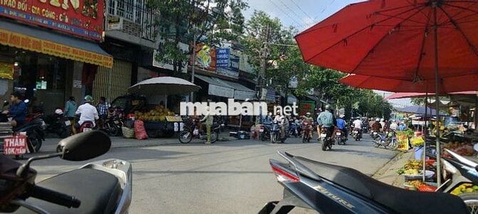 Bán đất đẹp trung tâm Đức Hòa, Long an - Sổ hồng riêng, thổ cư 100%!