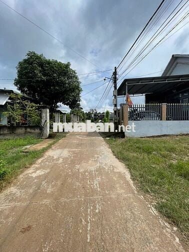 Bán gấp! 200m2 đất thổ cư đường thông cách kcn Xuân Lộc 100m