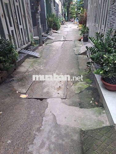 Cho thuê nhà nguyên căn Gò Vấp