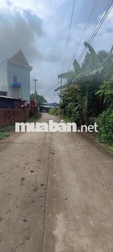Đất nền 250m2, đường 1 xẹt cách đh507 300m, 450tr, An Long, TP.HCM