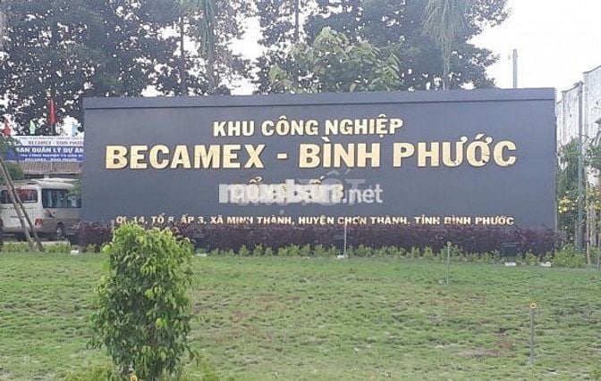 🌟 BÁN ĐẤT ĐẸP TRUNG TÂM CHƠN THÀNH – GẦN VINCOM, QL14 🌟