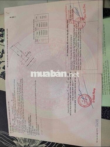 🏡 CHÍNH CHỦ GỬI BÁN NHÀ MẶT TIỀN ĐƯỜNG LÊ MINH NHỰT – XÃ TÂN THÔNG HỘI