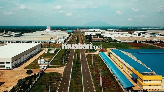 Bán đất gần cổng khu công nghiệp Bình Lộc DT5x30