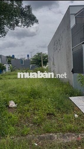 Cần tiền sử dụng việc gia đình Bán gấp lô đất ở xã Mỹ Hạnh Đức Hòa