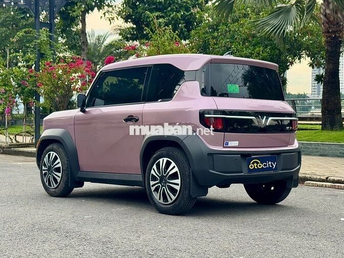 VinFast VF3 2024 - Hồng tím - 2v3km - Thuê pin