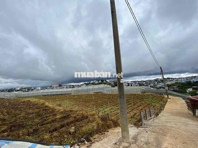 Đất nông nghiệp bằng phẳng view thoáng Cao Thắng Đà Lạt