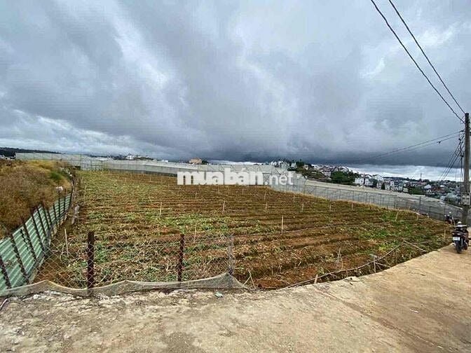 Đất nông nghiệp bằng phẳng view thoáng Cao Thắng Đà Lạt