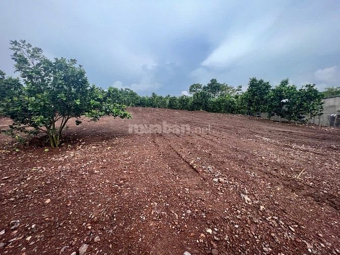 CHÍNH CHỦ BÁN NHANH LÔ ĐẤT TẠI THÀNH PHỐ LONG KHÁNH - CHỈ 2TR/M2