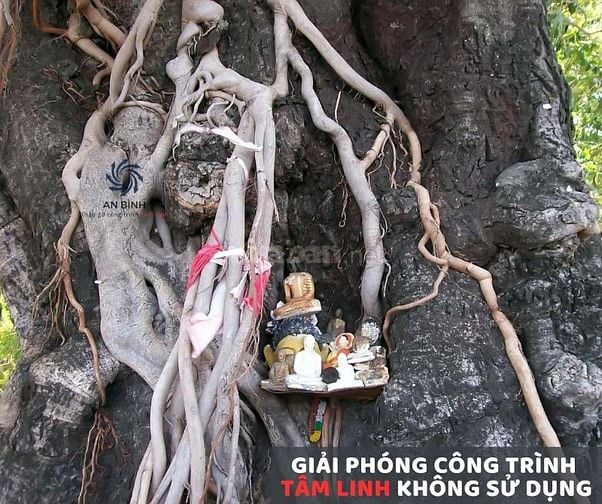 Phá dỡ An Bình tuyển nhân sự phổ thông