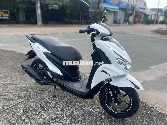 Feerigo 2020 ký giấy xe đẹp zin êm biển 59