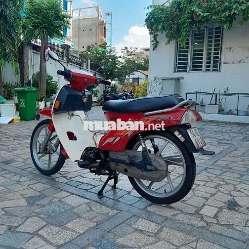 Xe max Hàn Quốc