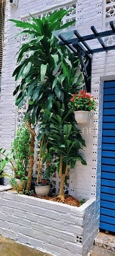 🔥 Cực Hot! Nhà Đẹp 1 Trệt 1 Lầu – Hẻm 4m Nguyễn Hữu Tiến, Tân Phú – G