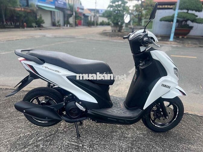 Feerigo 2020 ký giấy xe đẹp zin êm biển 59