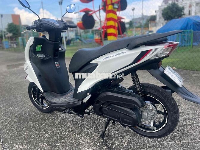 Feerigo 2020 ký giấy xe đẹp zin êm biển 59