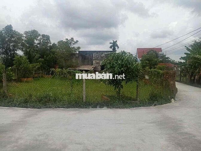 Đất lô góc Kế bên Vinhome Hậu nghĩa