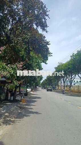 🔥 BÁN LÔ ĐẤT VÀNG – VỊ TRÍ ĐẮC ĐỊA, 2 MẶT TIỀN KIỆT - ĐÀ NẴNG.