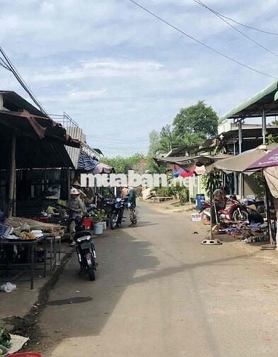 🌿 BÁN NHANH LÔ ĐẤT  2.521m² – SỔ RIÊNG – GIÁ CHỈ 2.6 TỶ 🌿