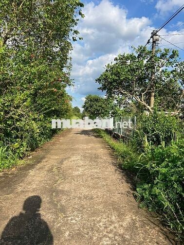 Đất thổ cư 160m2 xã Xuân Quế gần sân bay Long Thành, Khu công nghiệp
