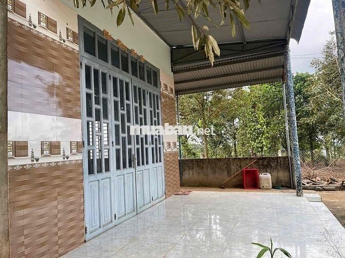 Nhà vườn trái cây Khánh Thượng - DT: 2000m2 (20x100m) - QH thổ cư