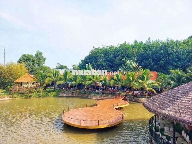Chia gia tài cần bán gấp vườn 2400m² phường Bình Lộc, sổ riêng
